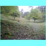 PICT0008.JPG
