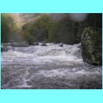 PICT0011.JPG
